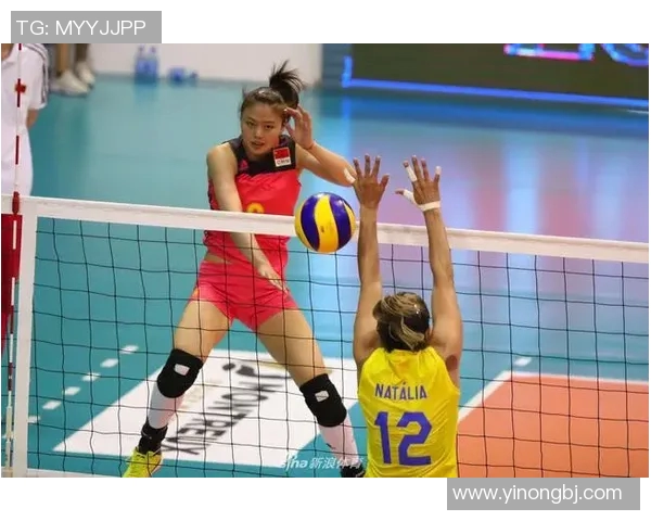 杭州排球队进攻策略全解析深度剖析排球战术与团队配合