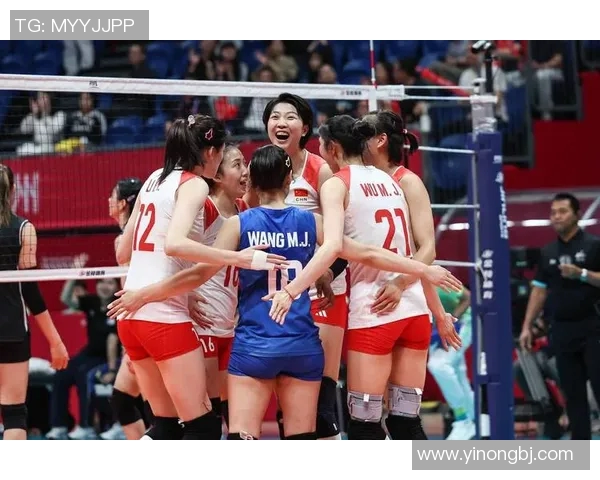 杭州排球队实力深度解析与各队对比分析